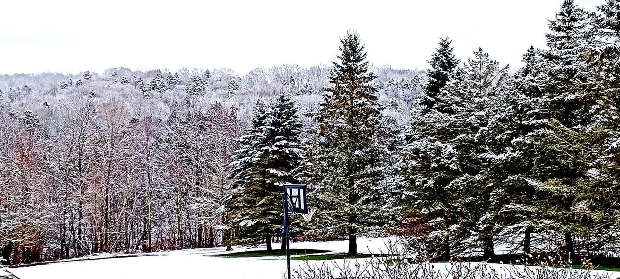 Escape To The Catskills Liberty Ngoại thất bức ảnh